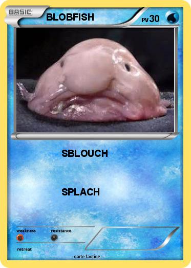 Pokemon BLOBFISH