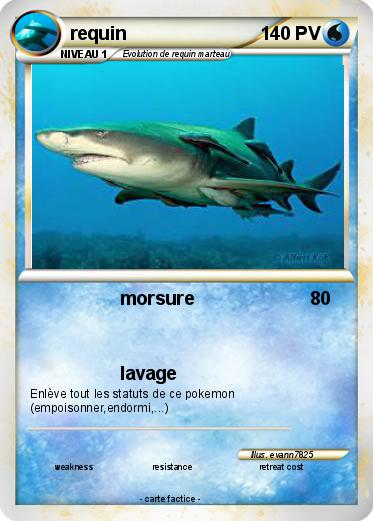 Pokemon requin