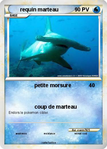 Pokemon requin marteau