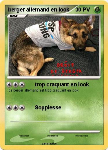 Pokemon berger allemand en look