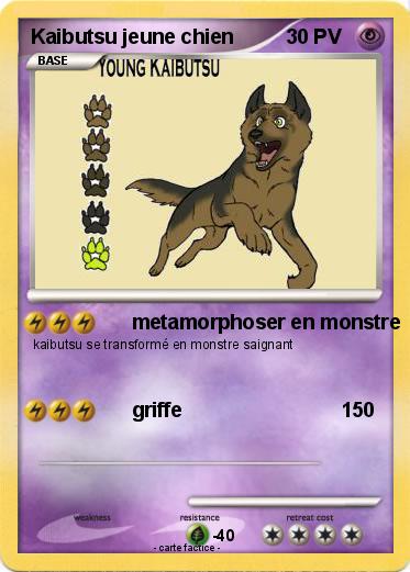 Pokemon Kaibutsu jeune chien