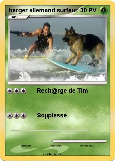 Pokemon berger allemand surfeur