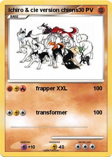 Pokemon Ichiro & cie version chiens