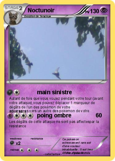 Pokemon Noctunoir