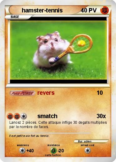 Pokemon hamster-tennis