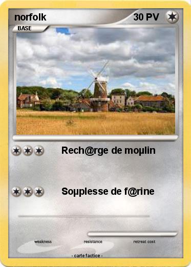 Pokemon norfolk