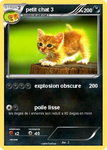 Pokemon petit chat 3