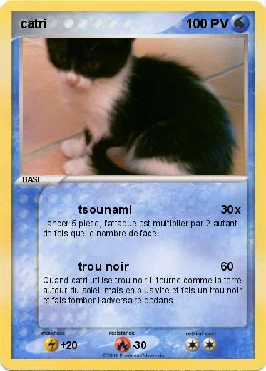 Pokemon catri