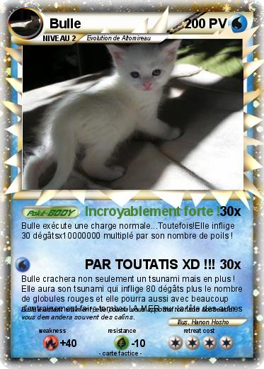 Pokemon Bulle