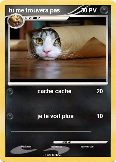 Pokemon tu me trouvera pas