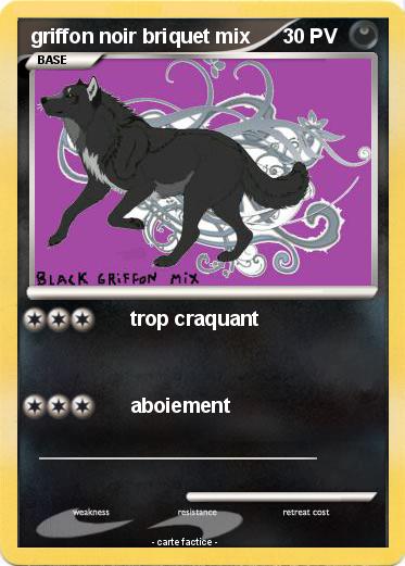 Pokemon griffon noir briquet mix