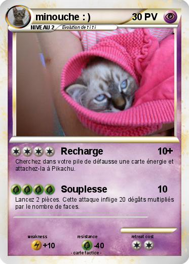 Pokemon minouche : )
