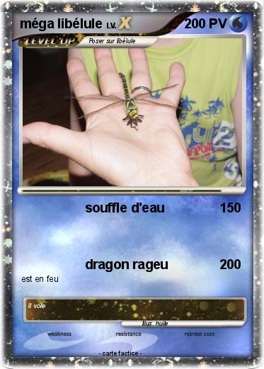 Pokemon méga libélule