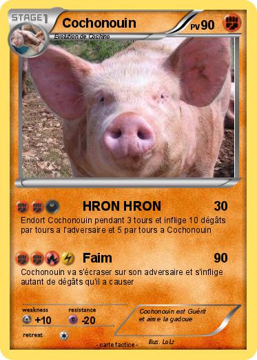 Pokemon Cochonouin