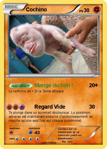 Pokemon Cochino