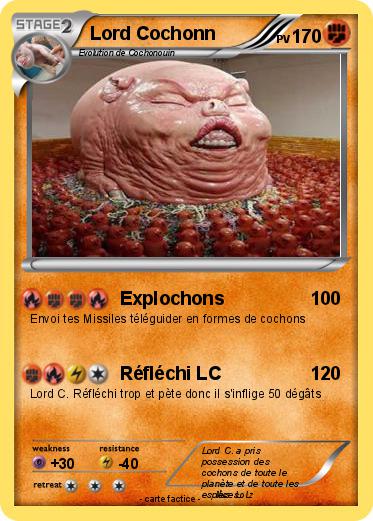 Pokemon Lord Cochonn