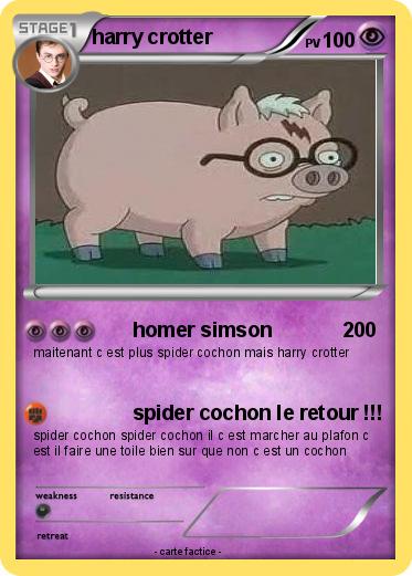 Pokemon harry crotter