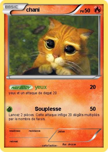 Pokemon chani