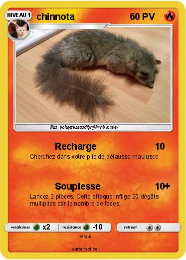 Pokemon chinnota