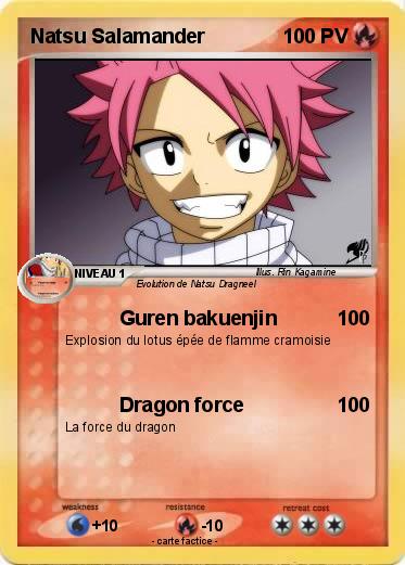 Pokemon Natsu Salamander