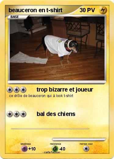 Pokemon beauceron en t-shirt