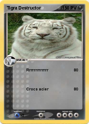 Pokemon Tigra Destructor