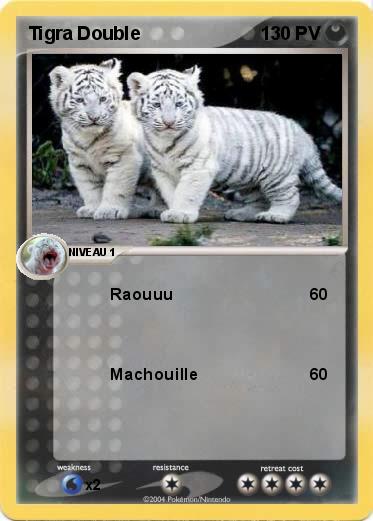 Pokemon Tigra Double
