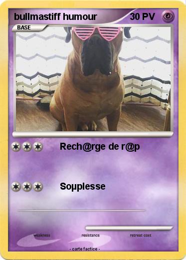 Pokemon bullmastiff humour