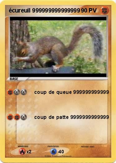 Pokemon écureuil 999999999999999