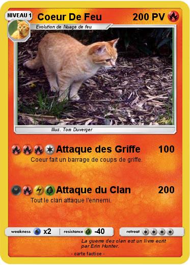 Pokemon Coeur De Feu