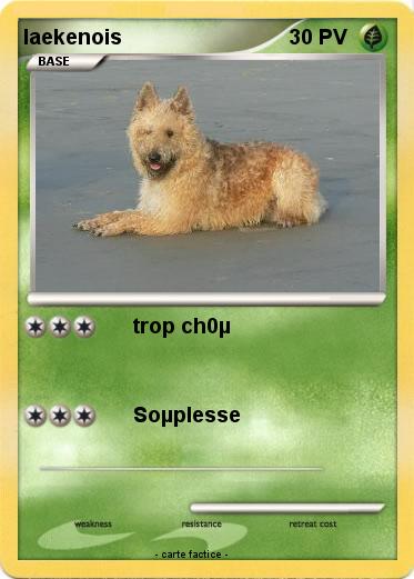 Pokemon laekenois