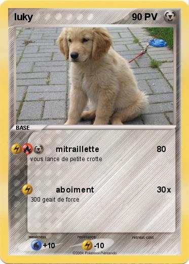 Pokemon luky