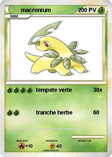 Pokemon macronium