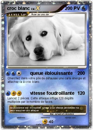 Pokemon croc blanc