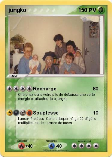 Pokemon jungko