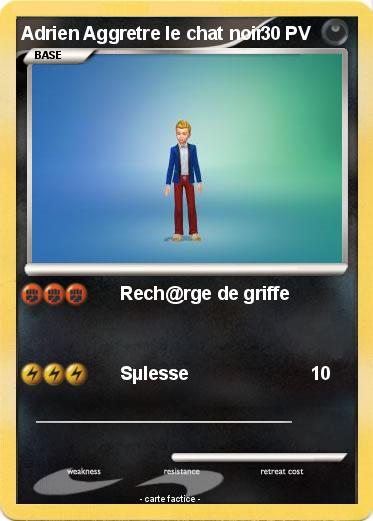 Pokemon Adrien Aggretre le chat noir