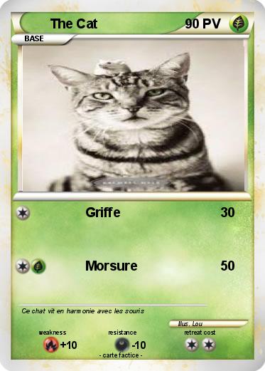 Pokemon The Cat