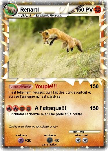Pokemon Renard