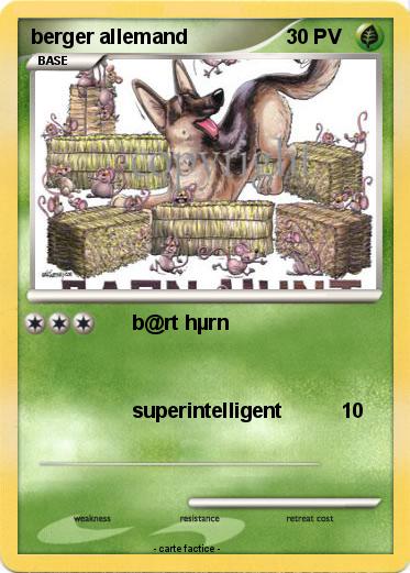 Pokemon berger allemand