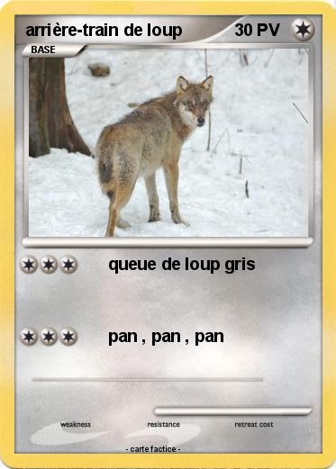 Pokemon arrière-train de loup