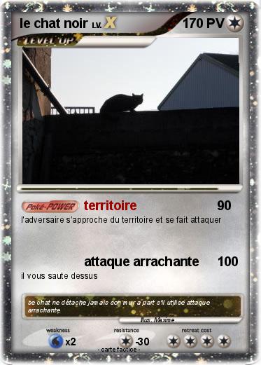 Pokemon le chat noir