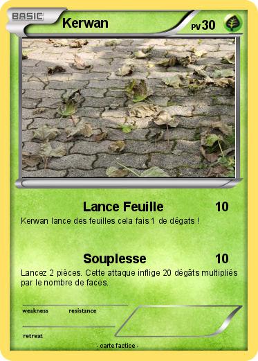 Pokemon Kerwan
