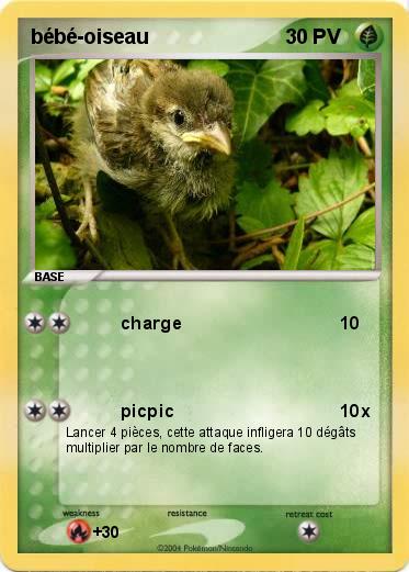 Pokemon bébé-oiseau