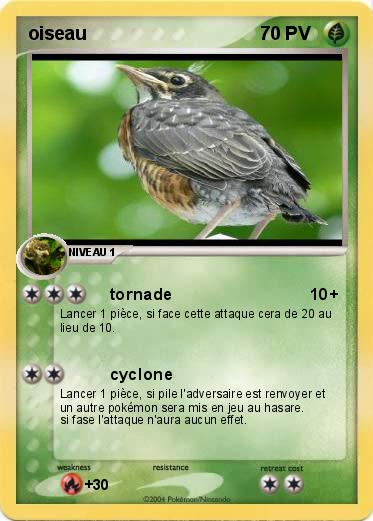 Pokemon oiseau