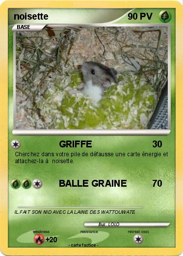 Pokemon noisette