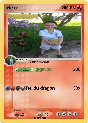 Pokemon victor