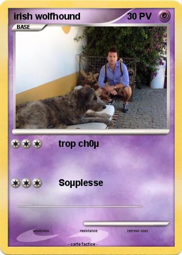 Pokemon irish wolfhound