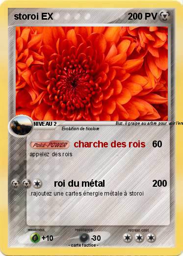 Pokemon storoi EX