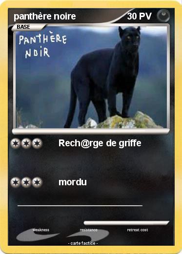 Pokemon panthère noire