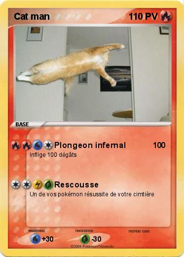 Pokemon Cat man 